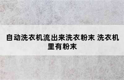 自动洗衣机流出来洗衣粉末 洗衣机里有粉末